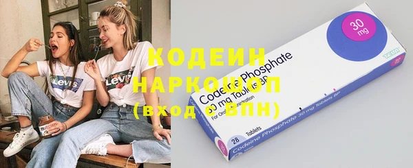 прущие грибы Абаза