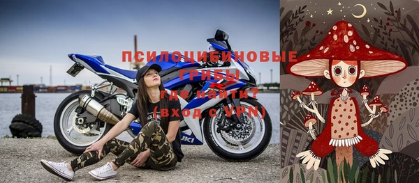 прущие грибы Абаза