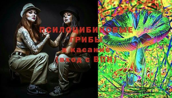 apvp Алзамай