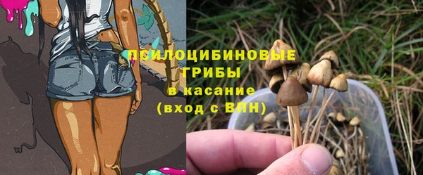apvp Алзамай